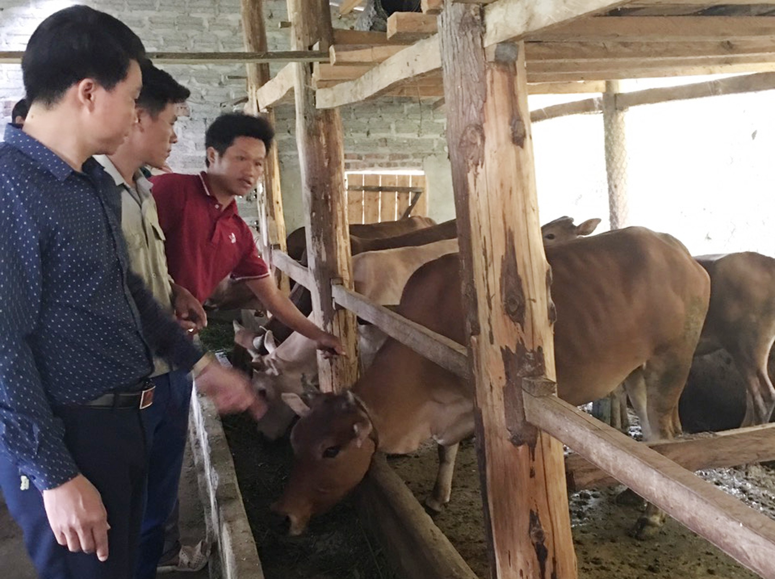 Phát huy tính tiền phong của đảng viên người dân tộc thiểu số ảnh 7 Phát huy tính tiền phong của đảng viên người dân tộc thiểu số ảnh 7