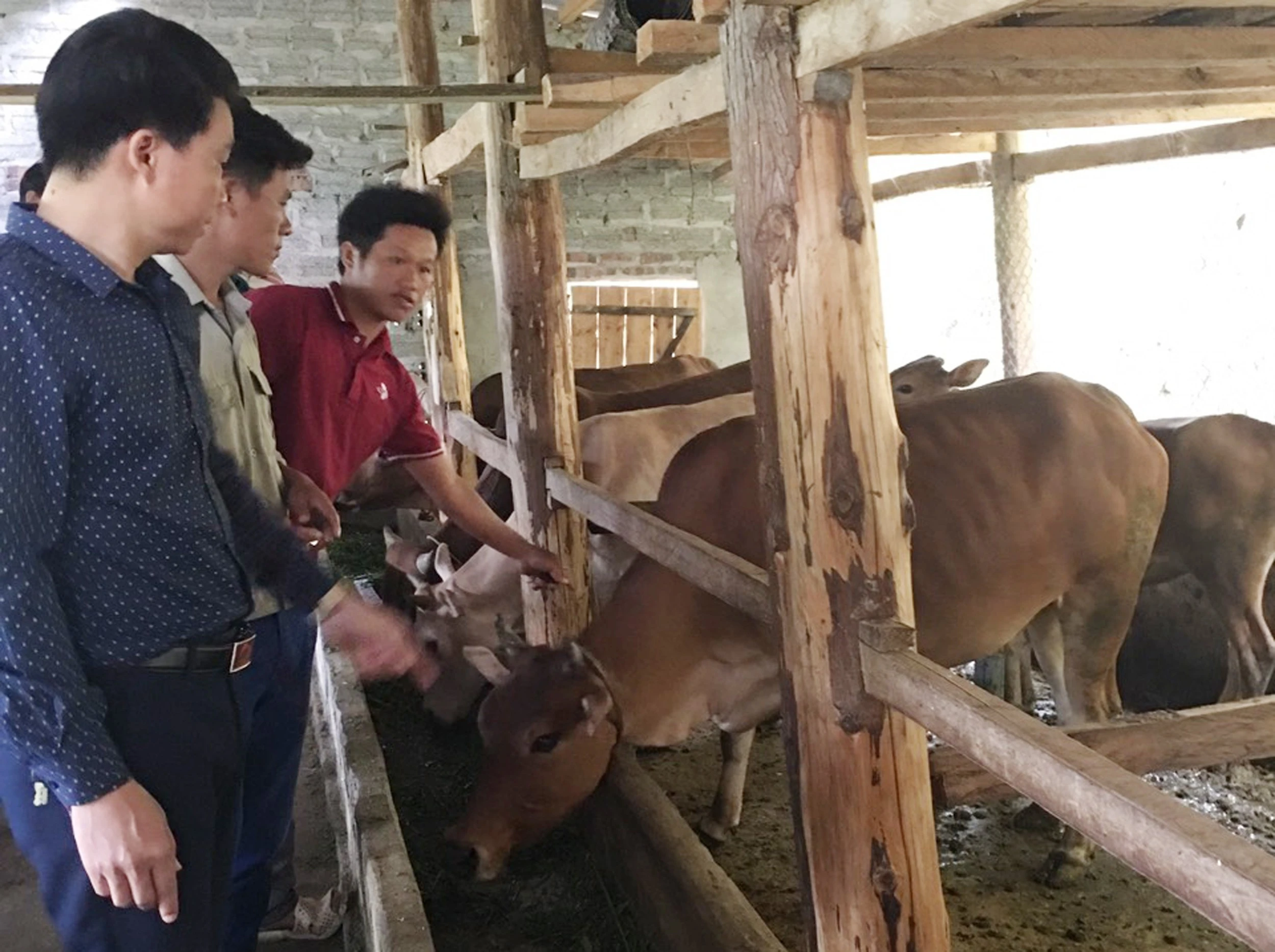 Phát huy tính tiền phong của đảng viên người dân tộc thiểu số ảnh 7