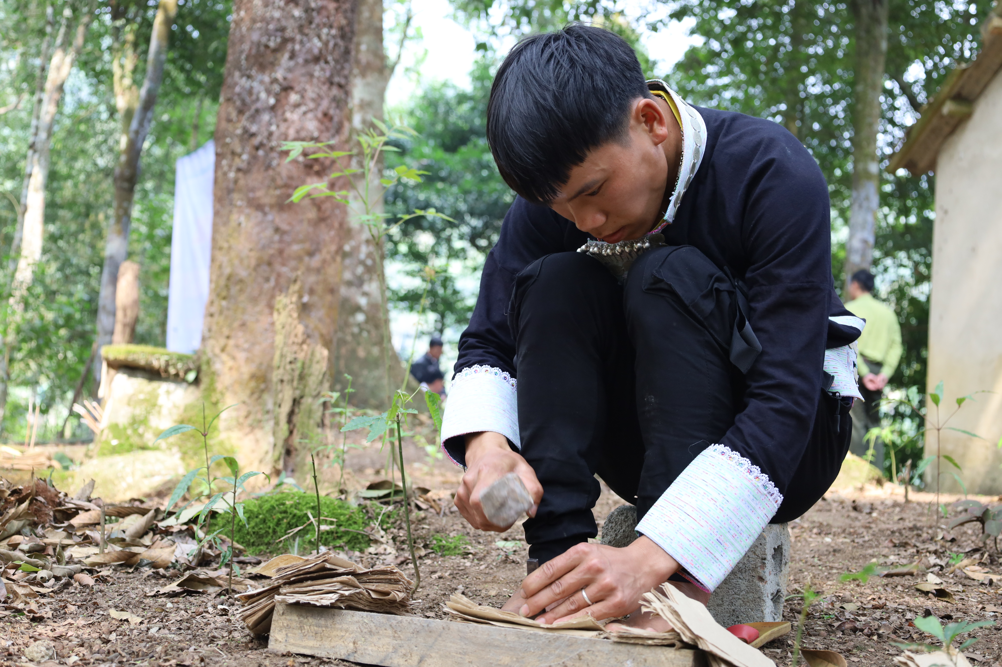 Giữ mãi cánh rừng xanh ảnh 4