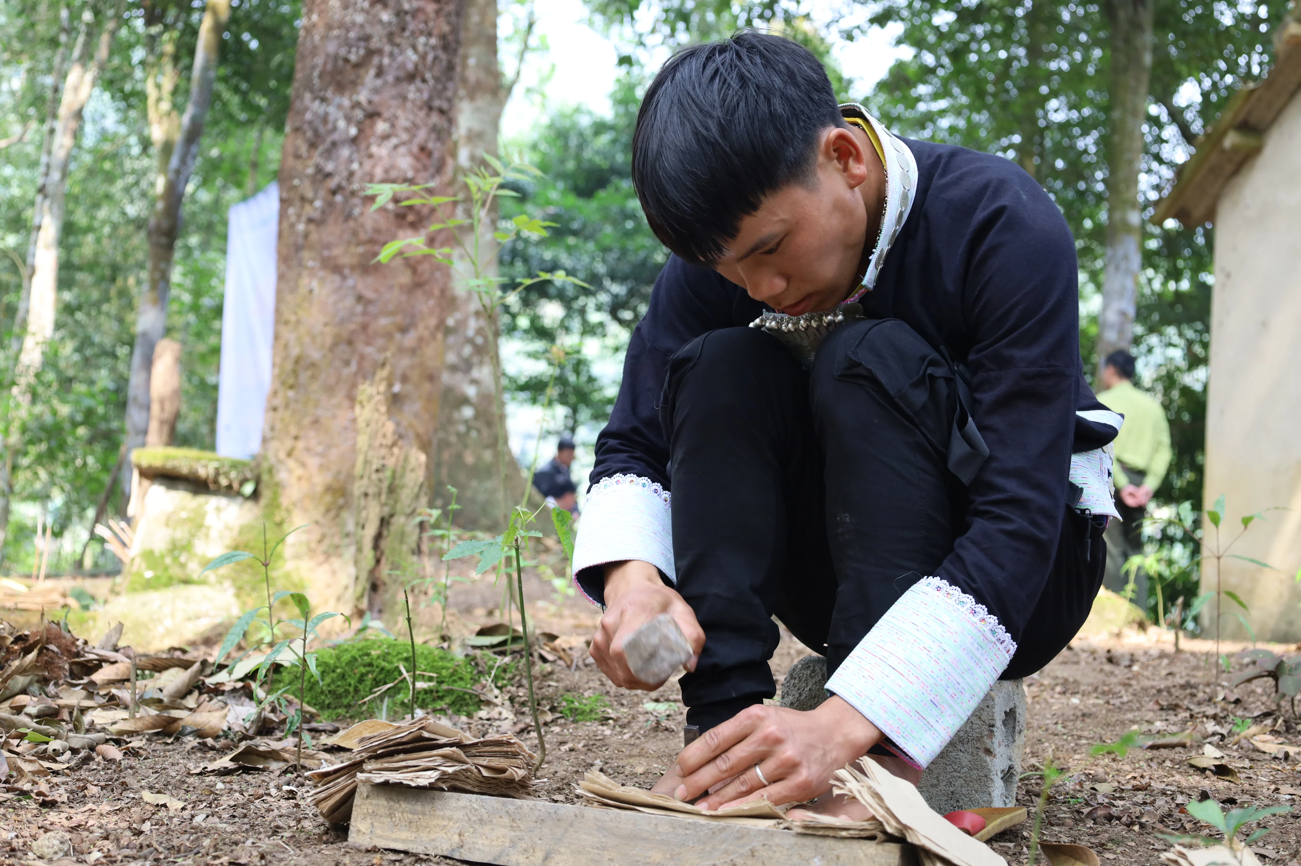 Giữ mãi cánh rừng xanh ảnh 4 Giữ mãi cánh rừng xanh ảnh 4