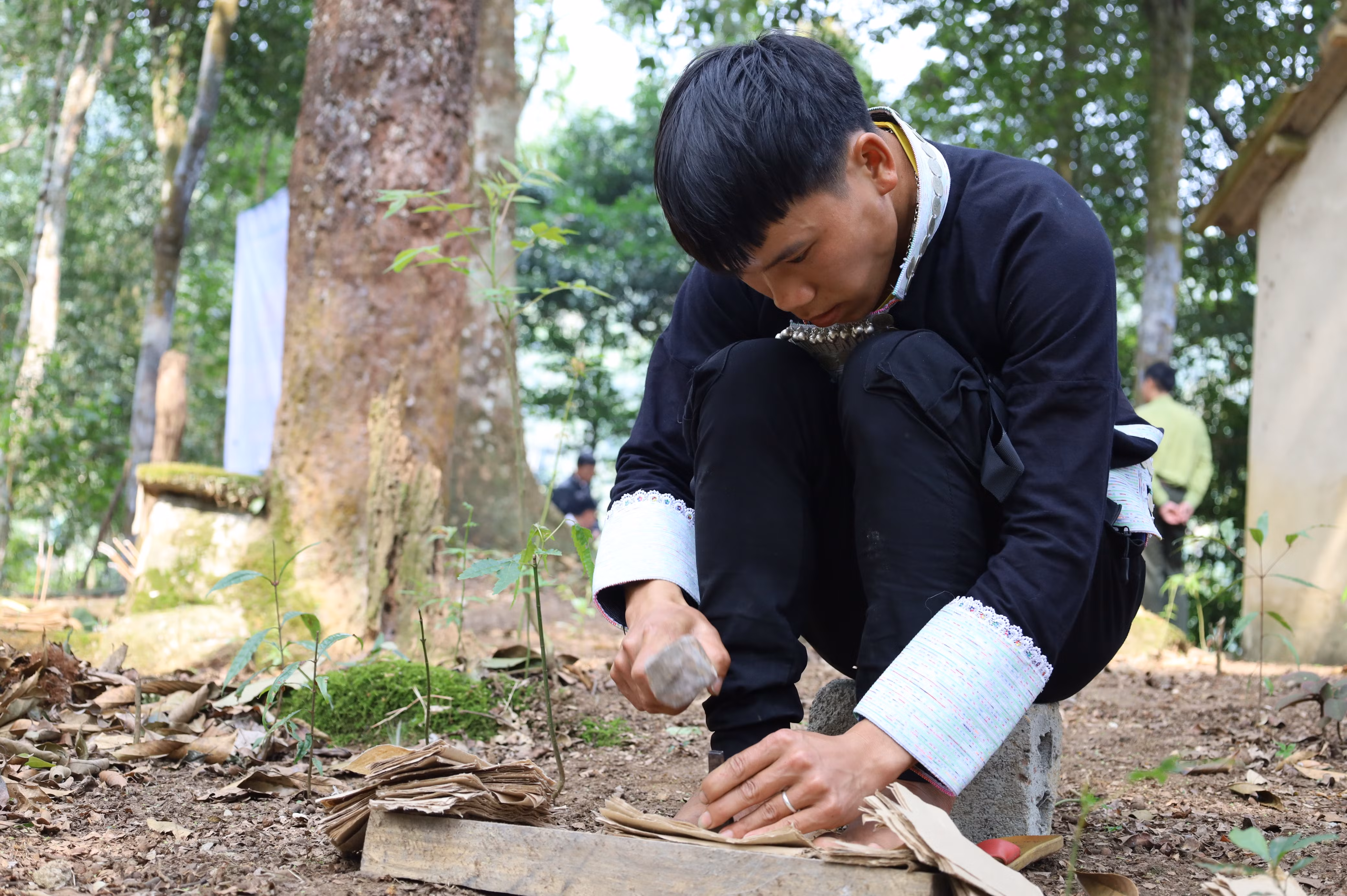 Giữ mãi cánh rừng xanh ảnh 4 Giữ mãi cánh rừng xanh ảnh 4