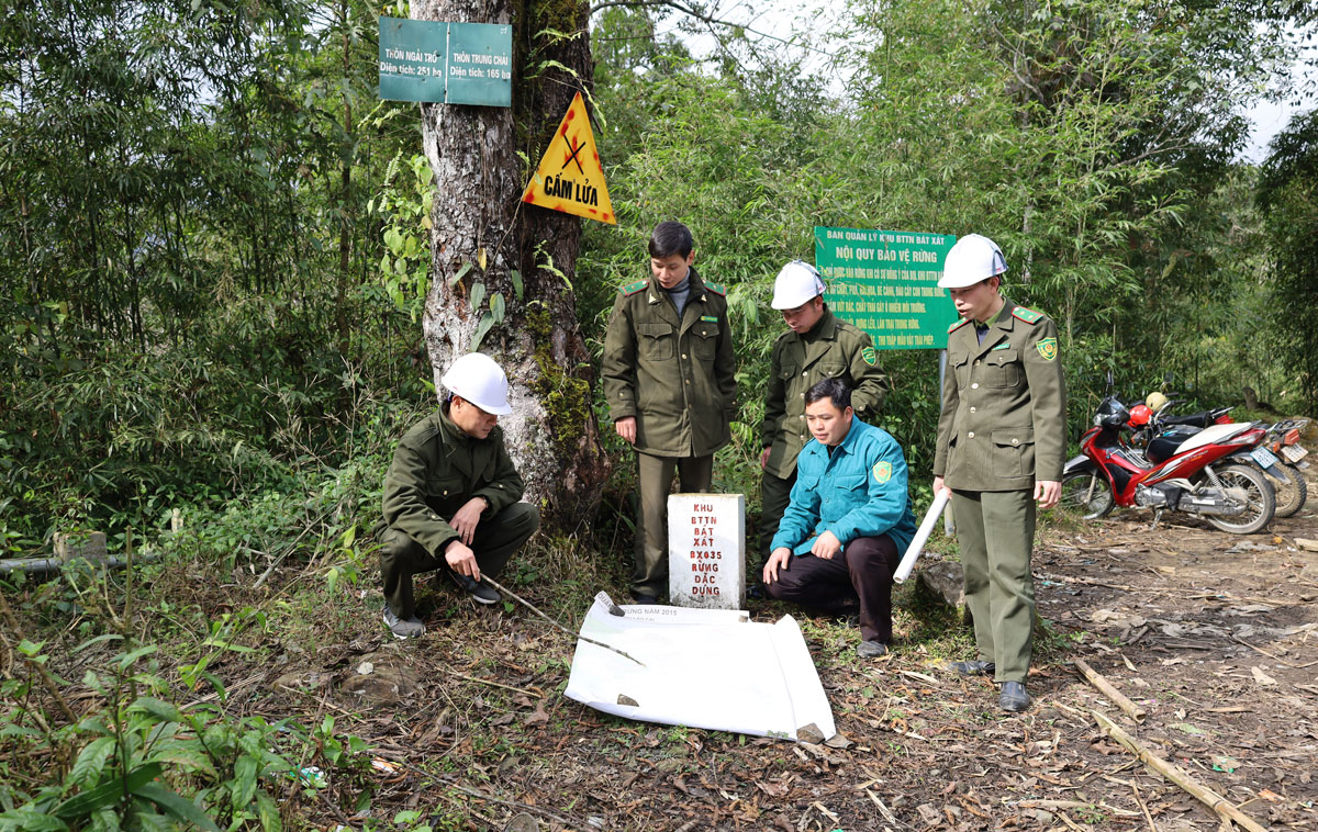 Chú trọng bảo vệ rừng dịp Tết Nguyên đán ảnh 3