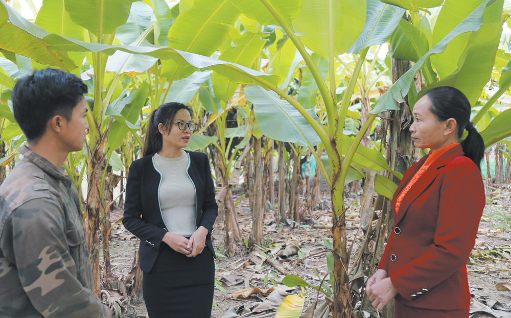 Bảo Yên tin dùng cán bộ trẻ ảnh 2