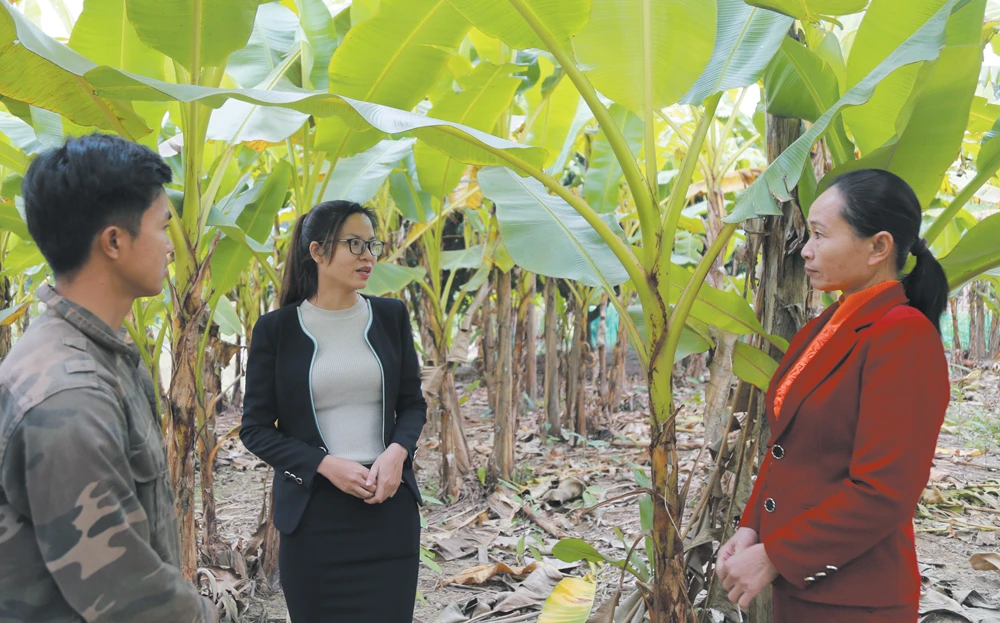 Bảo Yên tin dùng cán bộ trẻ ảnh 2 Bảo Yên tin dùng cán bộ trẻ ảnh 2