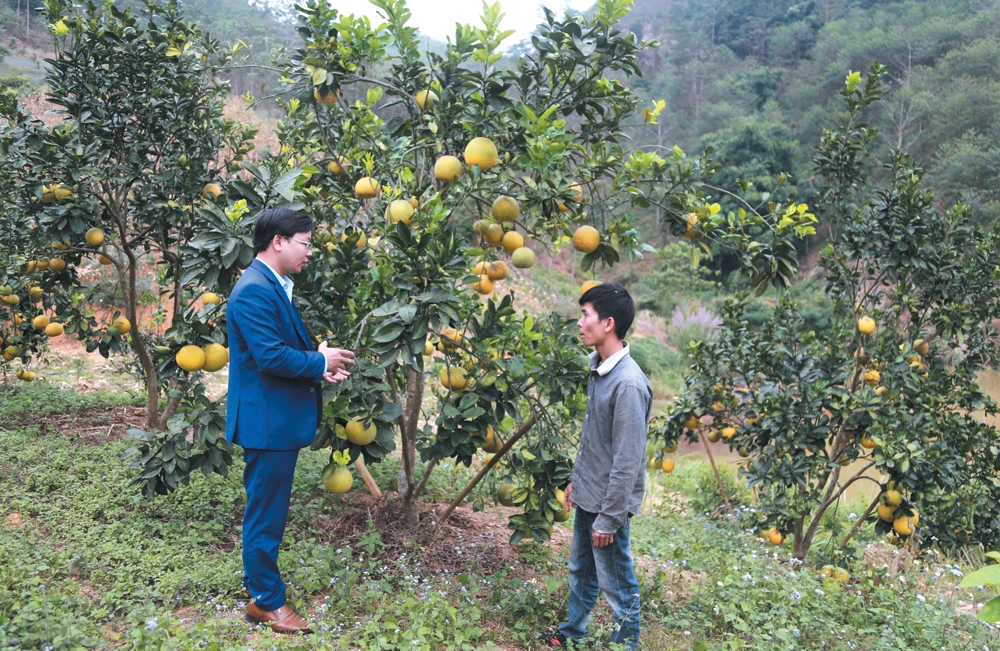 Bảo Yên tin dùng cán bộ trẻ ảnh 3 Bảo Yên tin dùng cán bộ trẻ ảnh 3