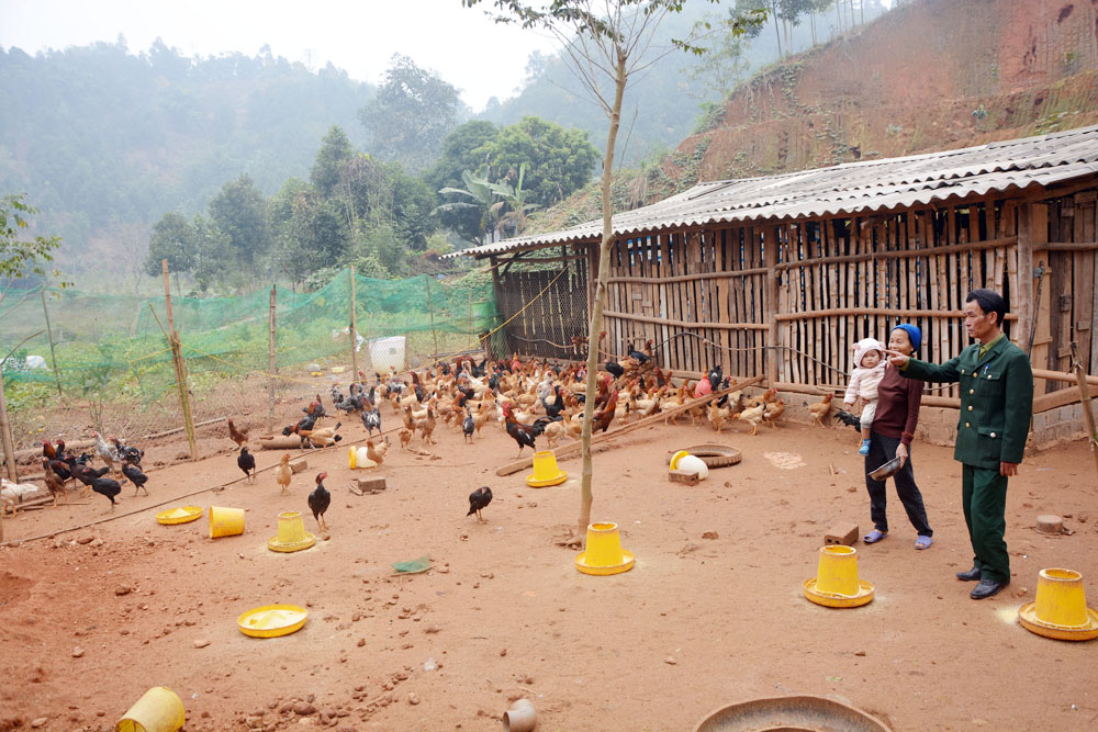 Đảng viên Chi bộ thôn Cố Hải trao đổi kinh nghiệm phát triển kinh tế với người dân trên địa bàn.