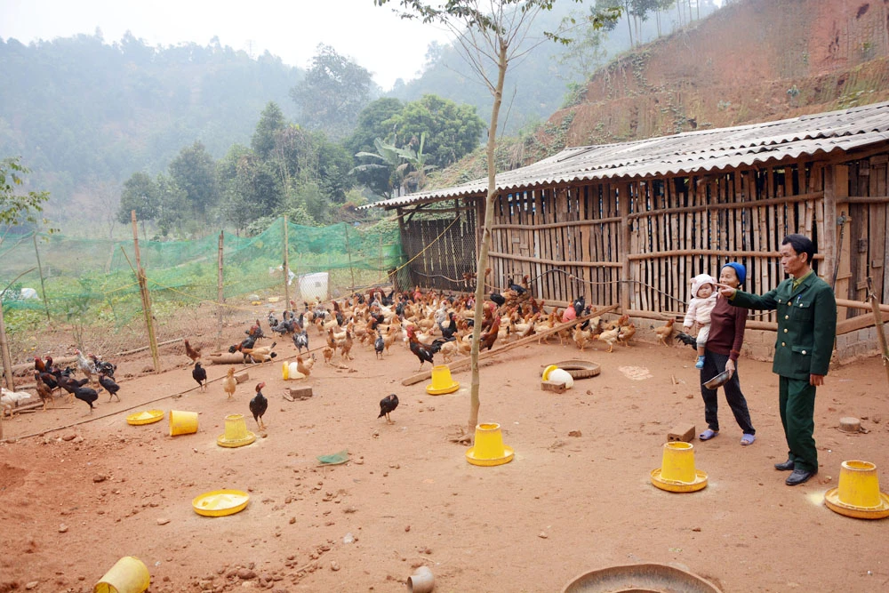 Đảng viên Chi bộ thôn Cố Hải trao đổi kinh nghiệm phát triển kinh tế với người dân trên địa bàn.