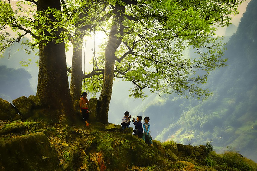 Tác phẩm "Mùa xuân trên quê hương Bát Xát" đoạt giải Nhất của tác giả Lê Việt Khánh. Tác phẩm "Trò chơi nhảy que" đoạt giải Nhì của tác giả Phạm Bằng. Tác phẩm "Mùa vàng" đoạt giải Nhì của tác giả Vũ Bảo Ngọc. Tác phẩm "Vui xuân vùng cao" đoạt giải Ba của tác giả Trần Nguyên Hương. Tác phẩm "Ban mai Choản Thèn" đoạt giải Ba của tác giả Viết Anh Mạnh. Tác phẩm "Cung đàn vùng cao" đoạt giải Ba của tác giả Nguyễn Văn Dần. Tác phẩm "Mùa xuân trên quê hương Bát Xát" đoạt giải Nhất của tác giả Lê Việt Khánh. Tác phẩm "Trò chơi nhảy que" đoạt giải Nhì của tác giả Phạm Bằng. Tác phẩm "Mùa vàng" đoạt giải Nhì của tác giả Vũ Bảo Ngọc. Tác phẩm "Vui xuân vùng cao" đoạt giải Ba của tác giả Trần Nguyên Hương. Tác phẩm "Ban mai Choản Thèn" đoạt giải Ba của tác giả Viết Anh Mạnh. Tác phẩm "Cung đàn vùng cao" đoạt giải Ba của tác giả Nguyễn Văn Dần.