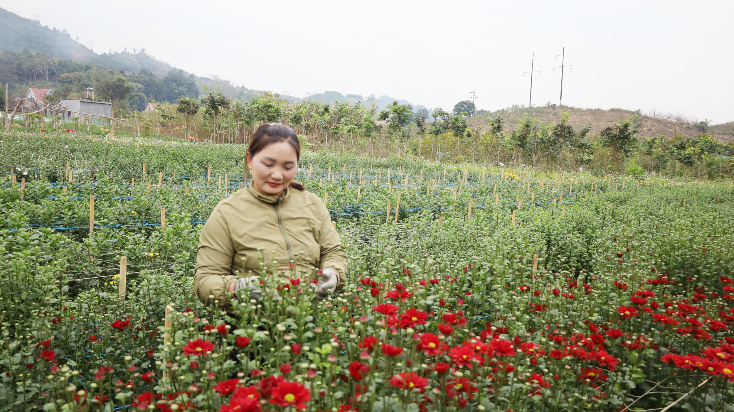 Chị Đinh Thị Lương, thôn Na Ó kiểm tra vườn hoa.