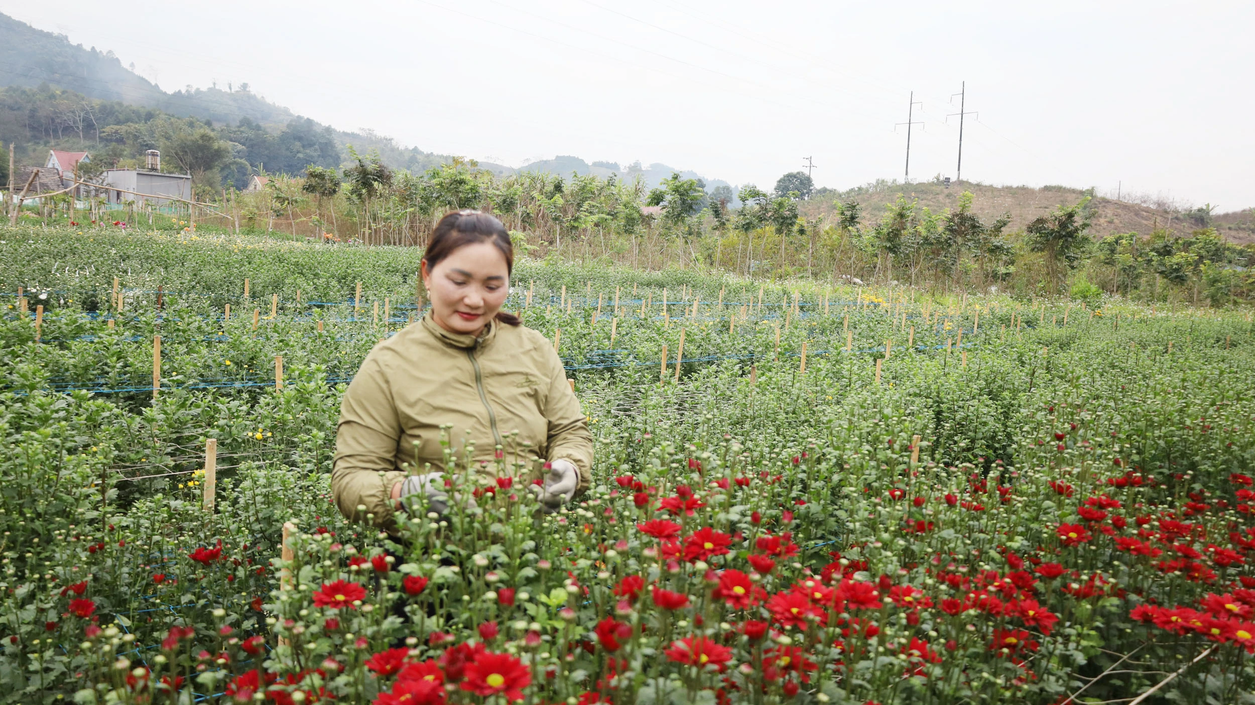Chị Đinh Thị Lương, thôn Na Ó kiểm tra vườn hoa.