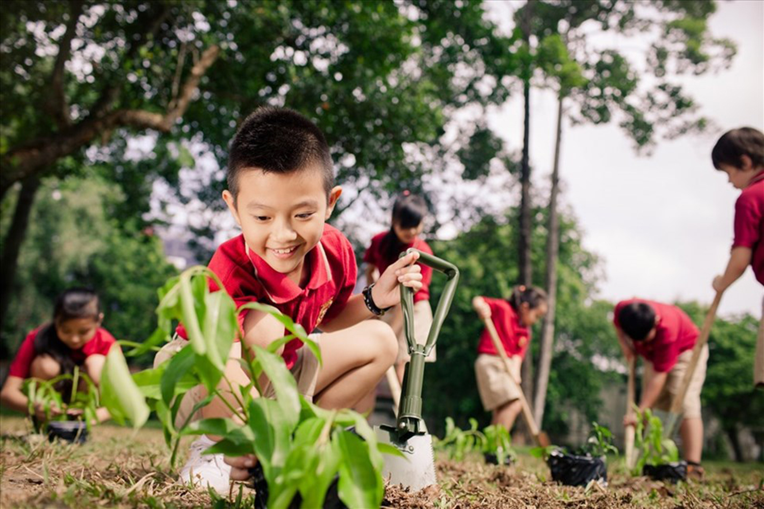Bảo vệ môi trường là tiêu chí để phát triển bền vững ảnh 1 Bảo vệ môi trường là tiêu chí để phát triển bền vững ảnh 1