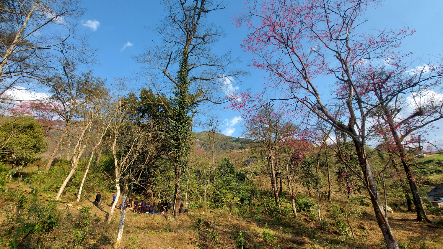 Độc đáo lễ Gạ Ma Do của người Hà Nhì ảnh 13 Độc đáo lễ Gạ Ma Do của người Hà Nhì ảnh 13