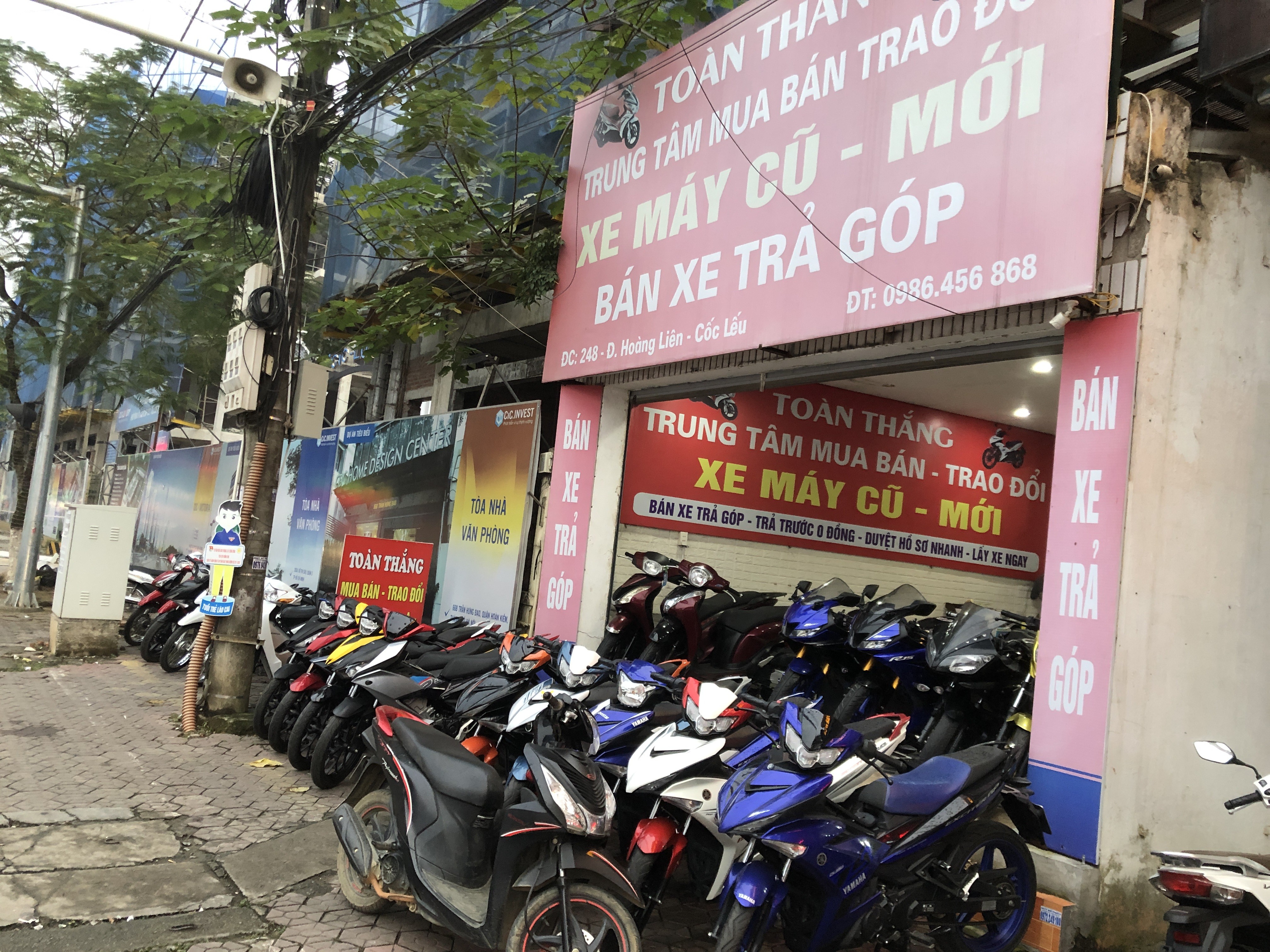 Thêm một năm trầm lắng ảnh 1