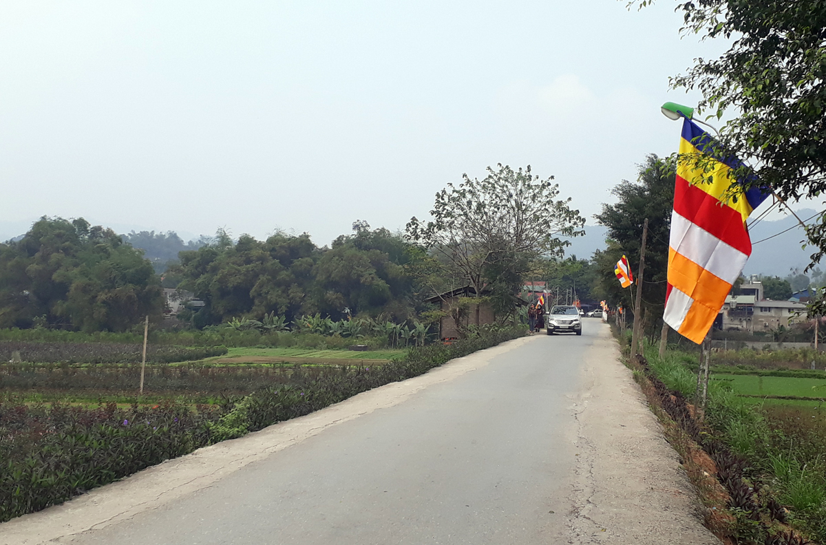 Đường vào đền Đô Cô đã được đổ thêm bê tông hai bên, nhưng 2 ô tô con tránh nhau vẫn rất khó khăn.