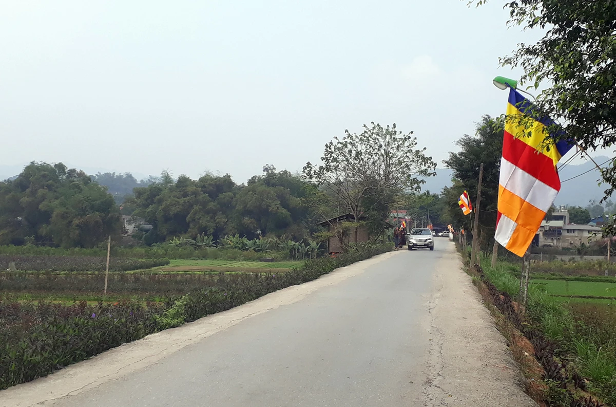 Đường vào đền Đô Cô đã được đổ thêm bê tông hai bên, nhưng 2 ô tô con tránh nhau vẫn rất khó khăn. Đường vào đền Đô Cô đã được đổ thêm bê tông hai bên, nhưng 2 ô tô con tránh nhau vẫn rất khó khăn.