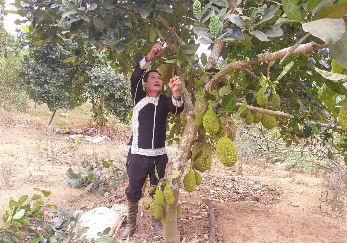 Anh Đặng Văn Thanh làm giàu từ mô hình kinh tế tổng hợp.