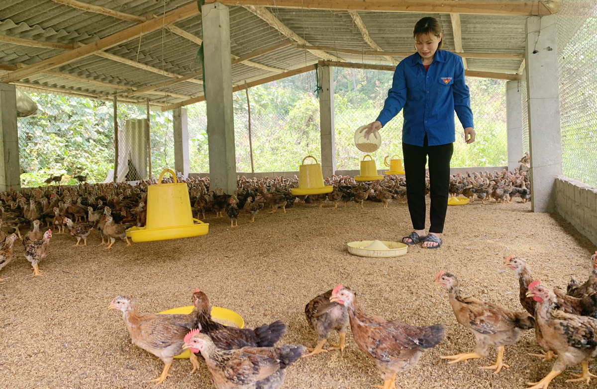 Quyết chí ắt làm nên ảnh 1