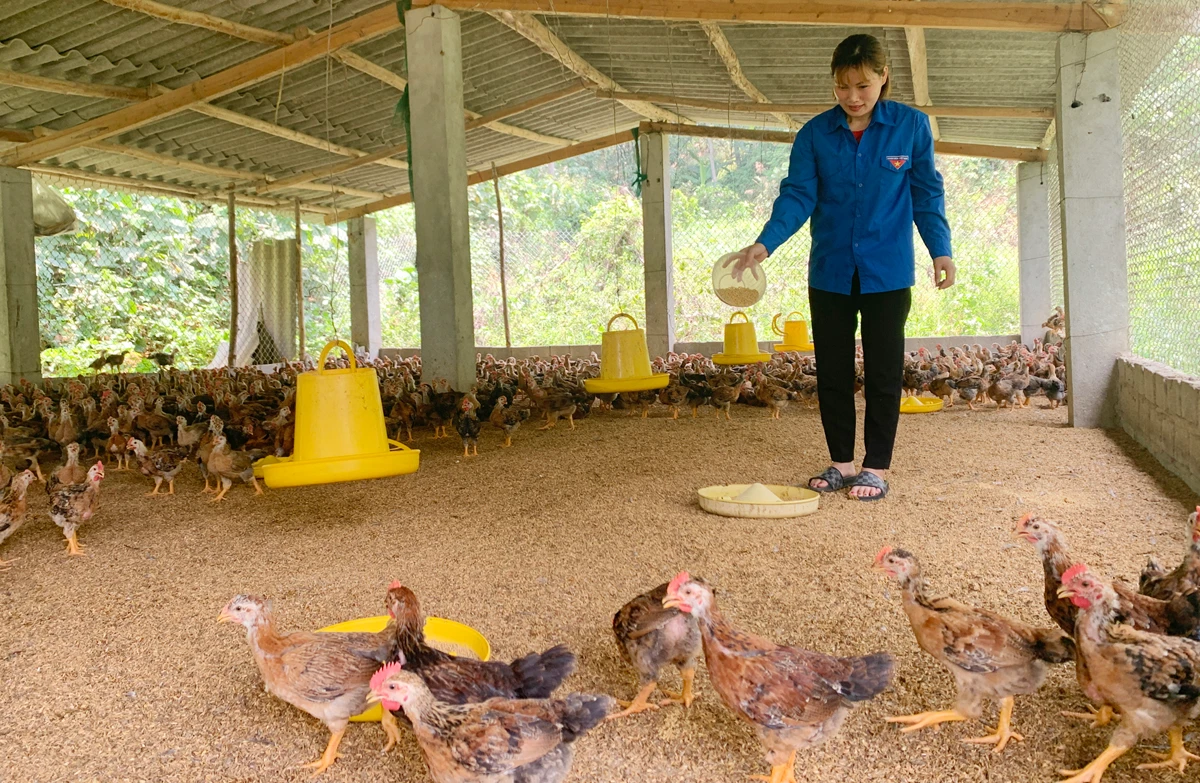 Quyết chí ắt làm nên ảnh 1