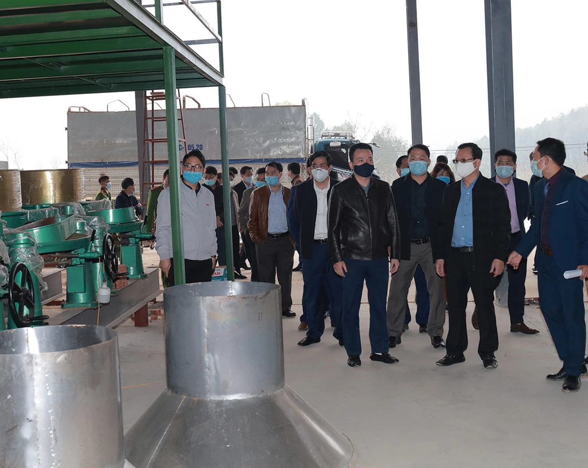 Kiểm tra thực hiện các dự án đầu tư chế biến nông – lâm sản trên địa bàn ảnh 3