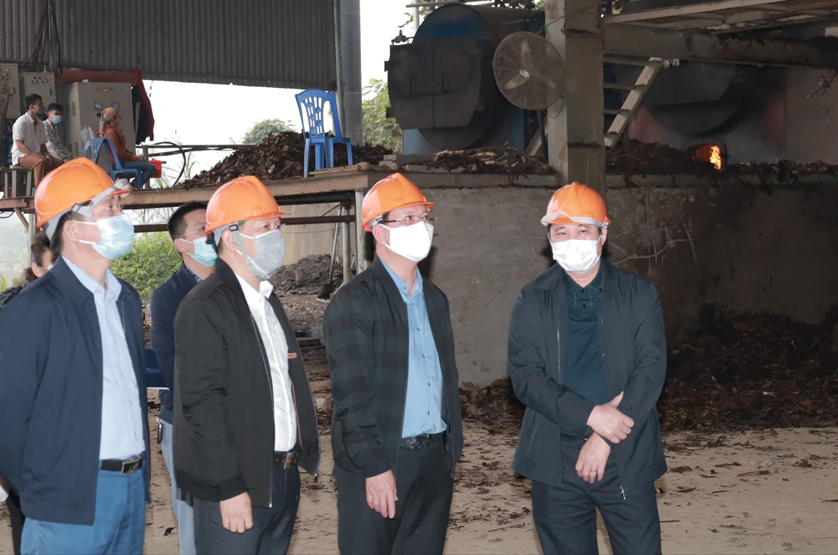 Kiểm tra hoạt động Nhà máy chiết xuất tinh dầu quế Phố Ràng.