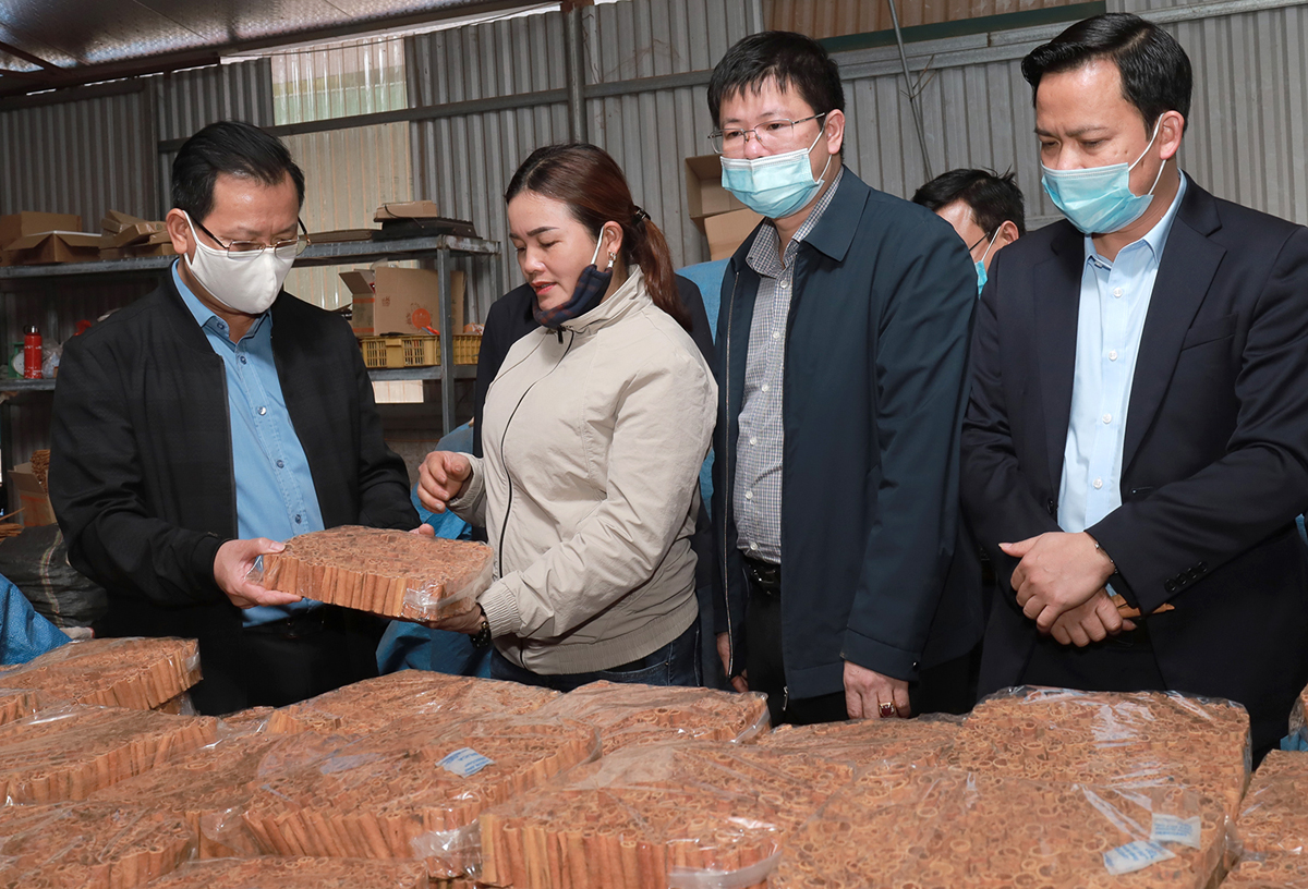 Thăm cơ sở chế biến quế xuất khẩu.