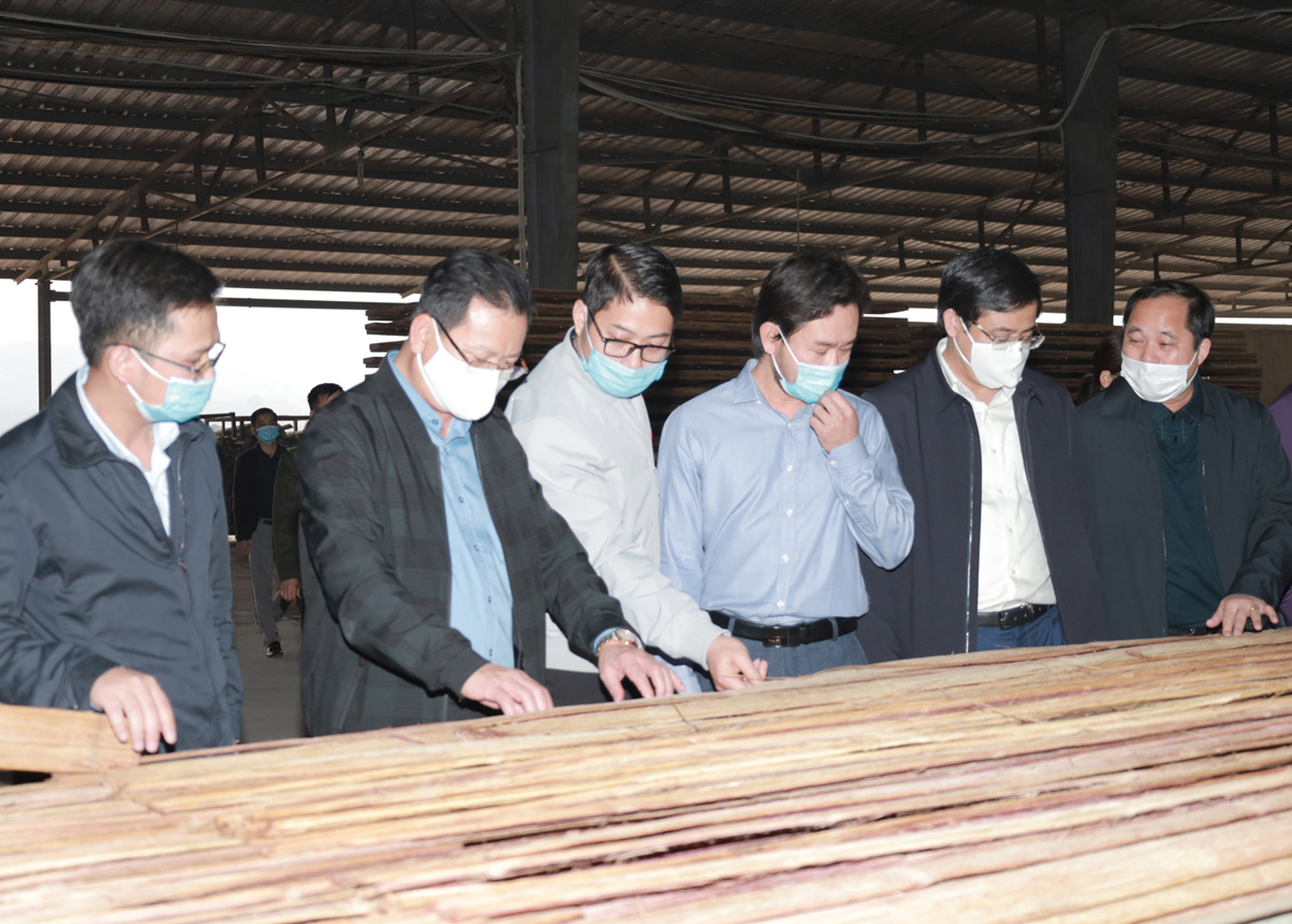 Kiểm tra thực hiện các dự án đầu tư chế biến nông – lâm sản trên địa bàn ảnh 7