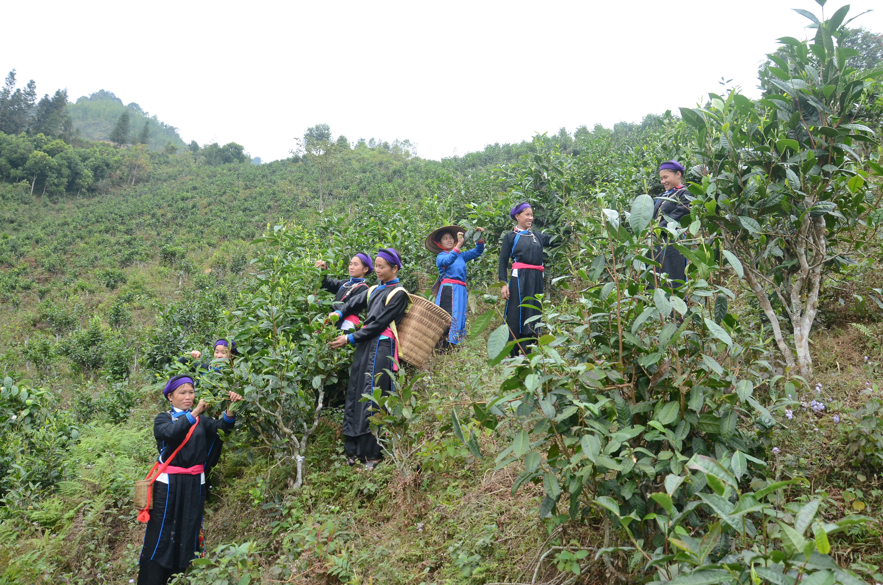 Rộn rã bản Tày ảnh 3