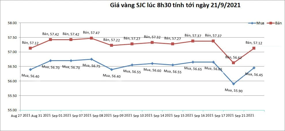 Giá vàng hôm nay 21/9: Hồi phục sau cú lao dốc ảnh 1