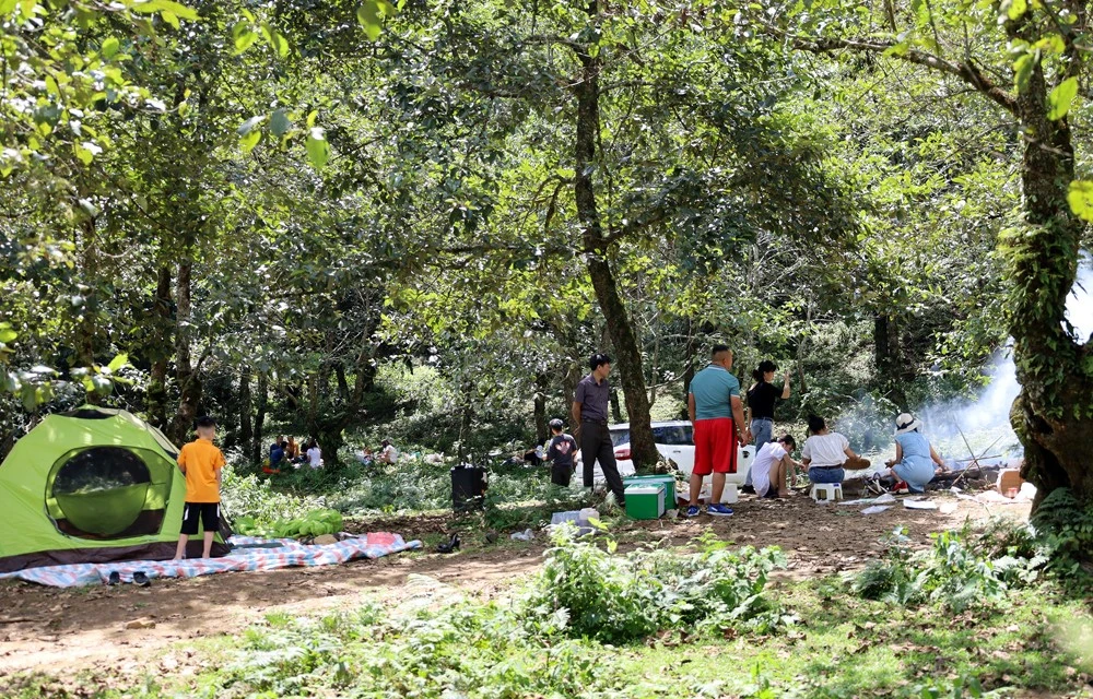 Khó kiểm soát an toàn dịch bệnh và nhiều vấn đề khác đối với khách du lịch đi tự do.