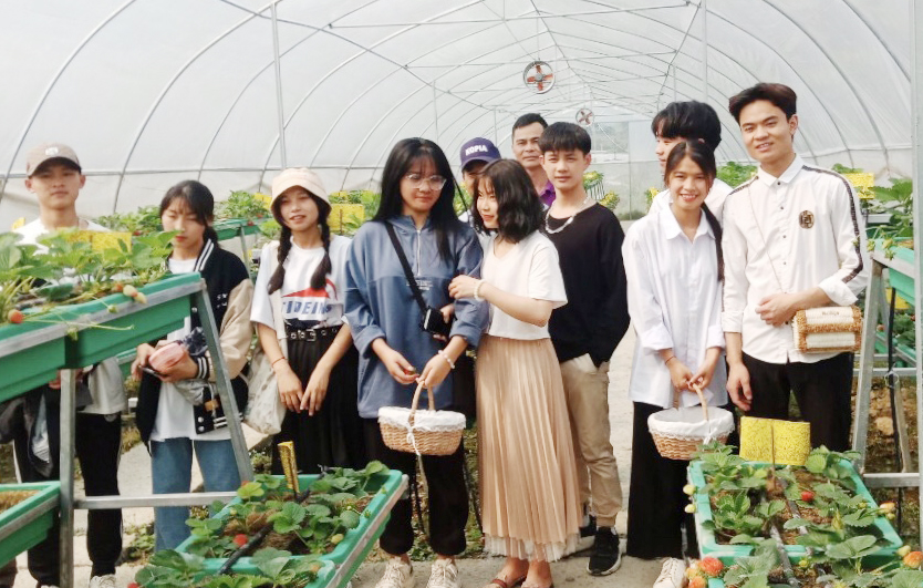 Lên Bắc Hà trải nghiệm vườn rau, quả ôn đới ảnh 9