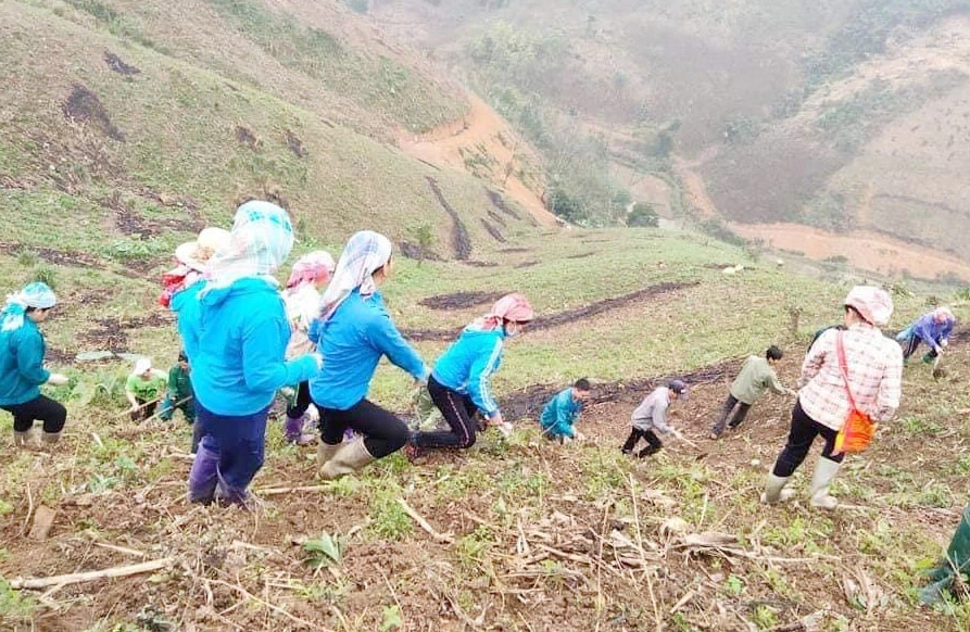Trên các sườn núi cao, người dân hối hả vào vụ. Nông cụ sau thời gian dài "nghỉ ngơi" được rèn sắc để vào vụ mới. Phát quang nương rẫy, làm đất là khâu quan trọng cần đến sức khỏe của nam giới. Người Dao đỏ xã Dền Sáng (Bát Xát) gieo trồng vụ mới. Nông dân xã Cốc Ly (Bắc Hà) đổi công giúp nhau trồng ngô. Chủ yếu được trồng trên dốc núi đá, nên các công đoạn trồng ngô được làm thủ công. Những nơi đất bằng phẳng, gần mạch nước, ngô sẽ sinh trưởng, phát triển nhanh hơn. Kiểm tra hạt trước khi xuống giống... ... tất cả cho một mùa vụ bội thu.