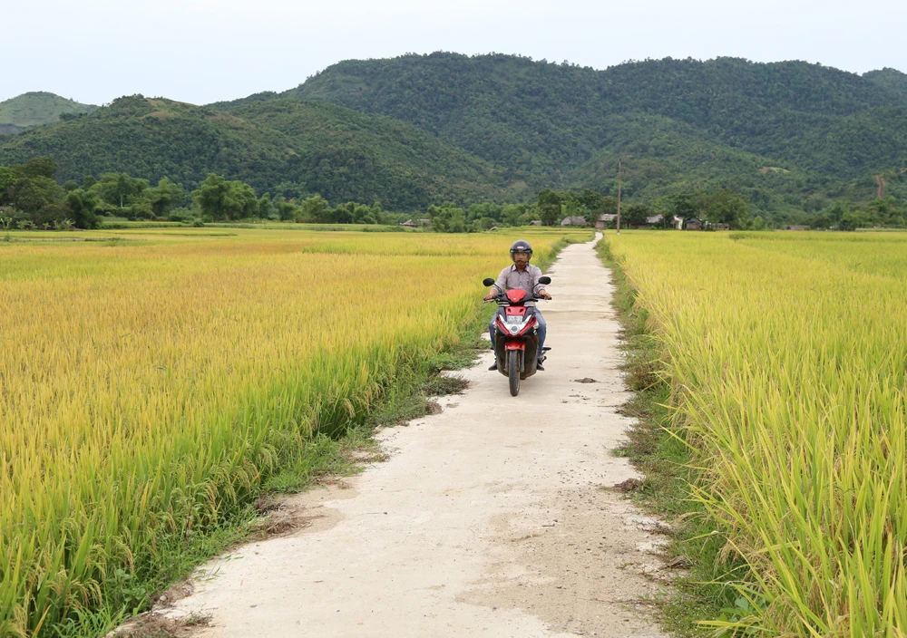 Hành trình 30 mùa xuân vượt qua đói nghèo ảnh 2