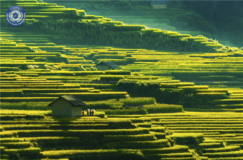 Nhiếp ảnh gia Nguyễn Mạnh Cường đoạt Bằng Danh dự ISF Cuộc thi Ảnh nghệ thuật quốc tế 2021 ảnh 1 Nhiếp ảnh gia Nguyễn Mạnh Cường đoạt Bằng Danh dự ISF Cuộc thi Ảnh nghệ thuật quốc tế 2021 ảnh 1