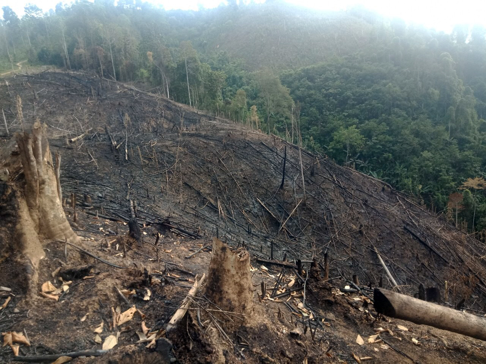 Bài 1: Đi tìm nguyên nhân ảnh 1