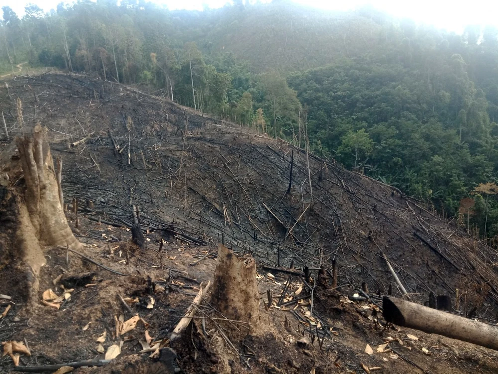 Bài 1: Đi tìm nguyên nhân ảnh 1