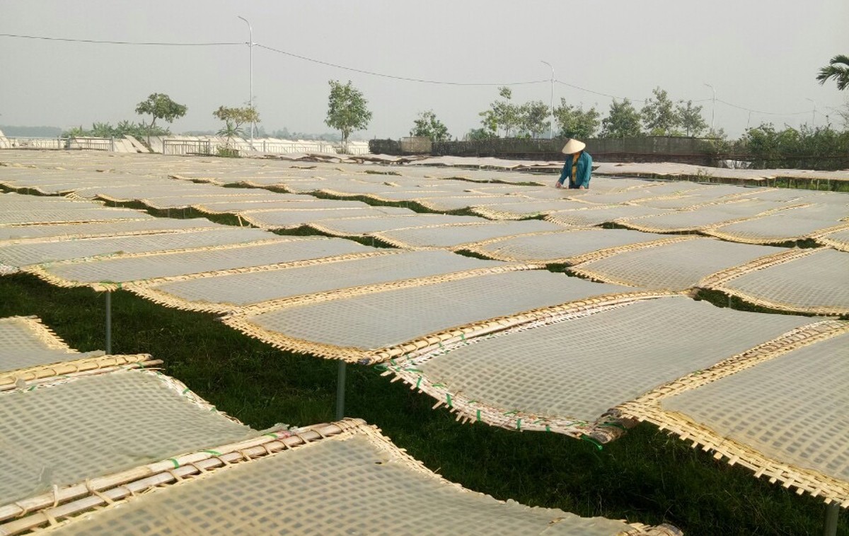 Miến đao Thành Sơn được thị trường ưa chuộng.