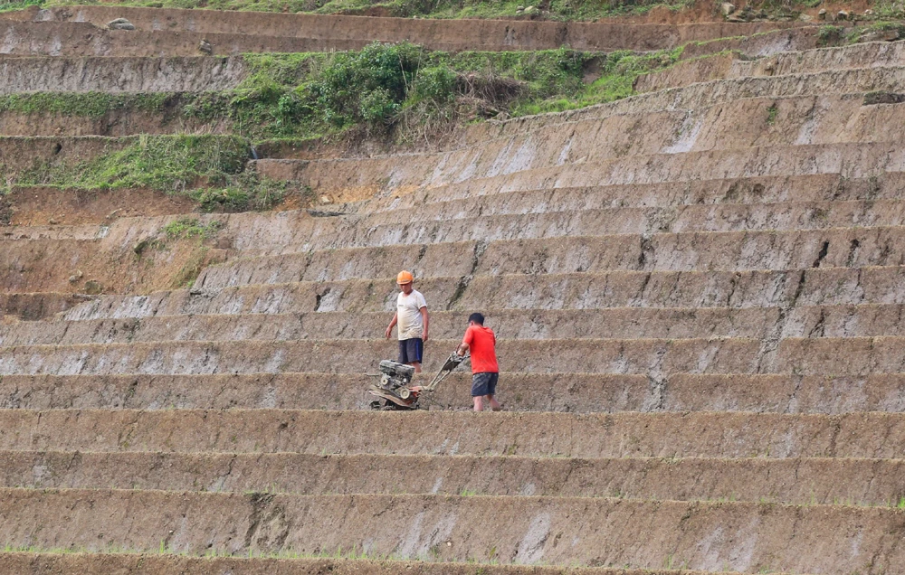 Vùng cao Bát Xát hối hả vào vụ cày cấy trên ruộng bậc thang ảnh 3