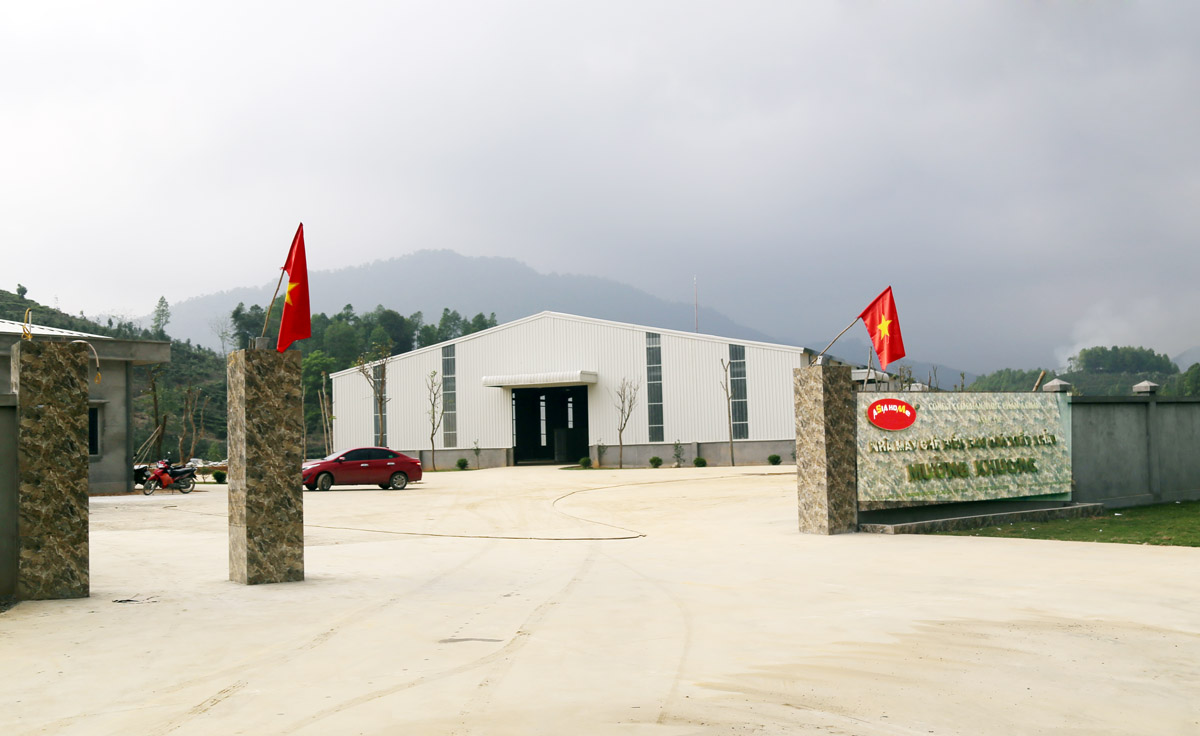 Nhà máy Chế biến rau quả xuất khẩu của Công ty Cổ phần thực phẩm Á Châu (xã Lùng Vai, huyện Mường Khương) nơi xảy ra vụ ngộ độc thực phẩm.