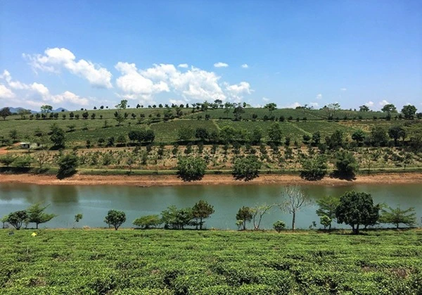 Hậu Covid-19, xu hướng bất động sản wellness ‘lên ngôi’ ảnh 1