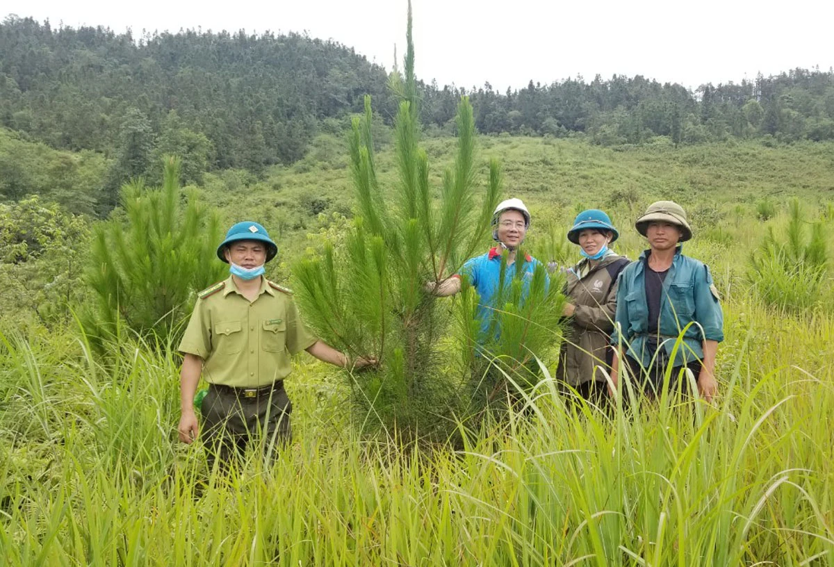 Kiểm tra diện tích rừng trồng thay thế tại huyện Bắc Hà.
