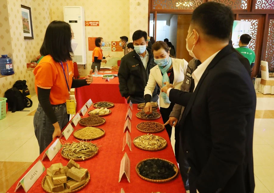 Giới thiệu và lập kế hoạch triển khai dự án BEST tại tỉnh Lào Cai. ảnh 3