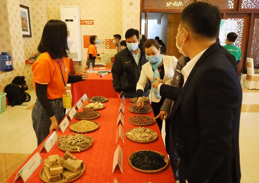 Giới thiệu và lập kế hoạch triển khai dự án BEST tại tỉnh Lào Cai. ảnh 3 Giới thiệu và lập kế hoạch triển khai dự án BEST tại tỉnh Lào Cai. ảnh 3