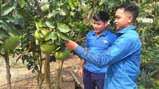 Mô hình kinh tế của anh Lý Văn Dũng được thanh niên trong xã đến tham quan, học hỏi kinh nghiệm Mô hình kinh tế của anh Lý Văn Dũng được thanh niên trong xã đến tham quan, học hỏi kinh nghiệm