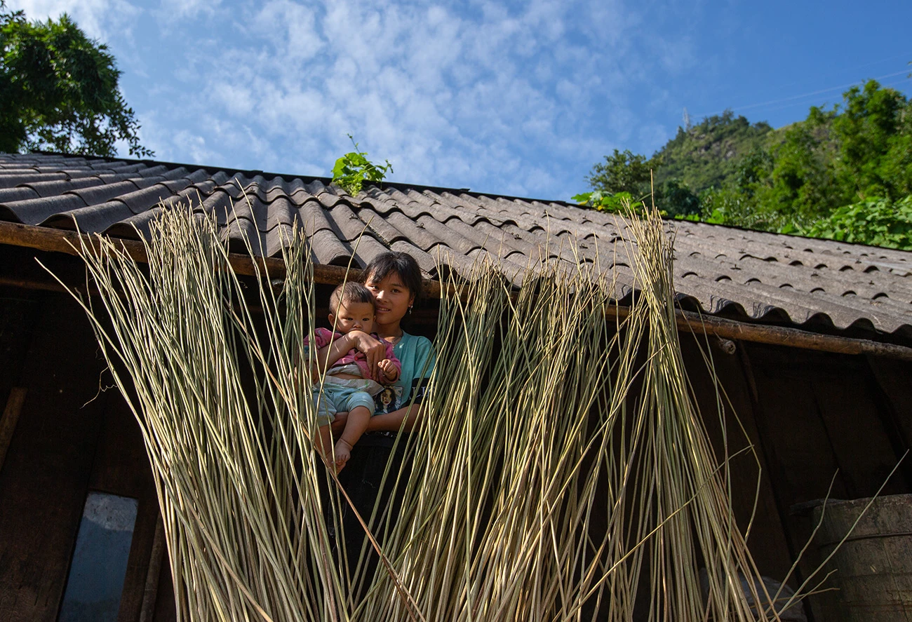 Người Mông Sa Pa vào mùa thu hoạch cây lanh, dệt vải ảnh 2 Người Mông Sa Pa vào mùa thu hoạch cây lanh, dệt vải ảnh 2