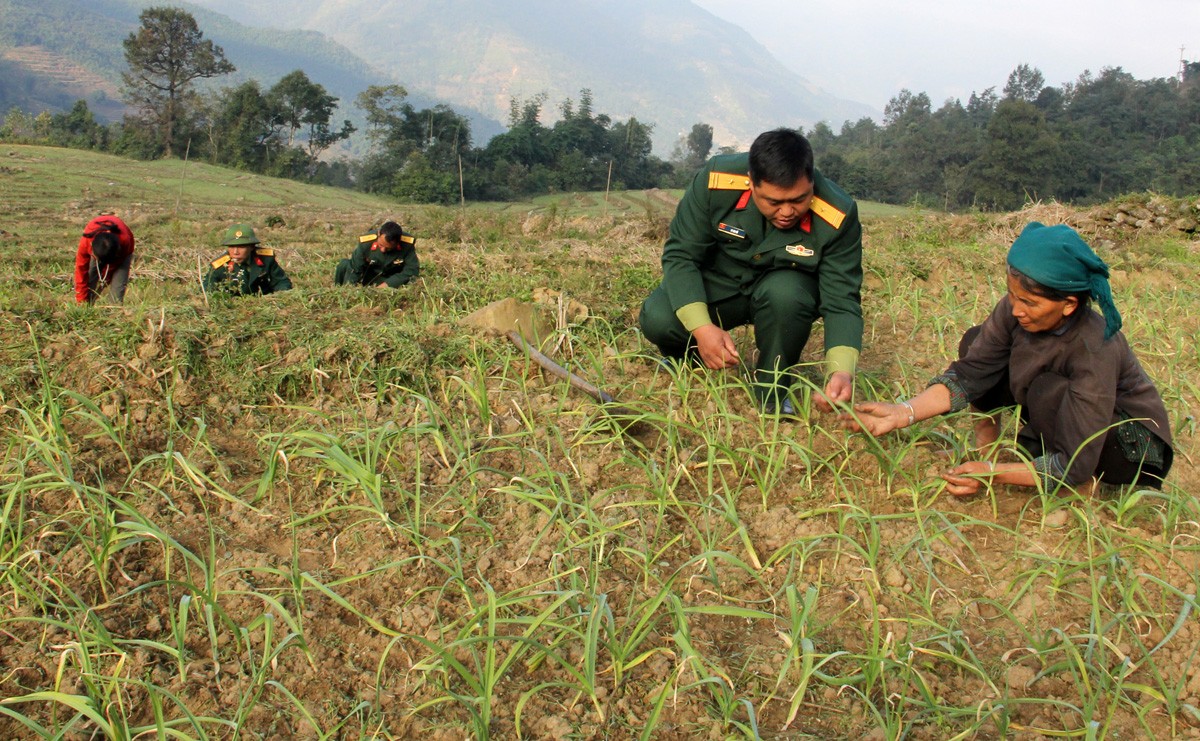 Bộ đội hướng dẫn bà con trồng cây vụ đông. Ảnh: TL