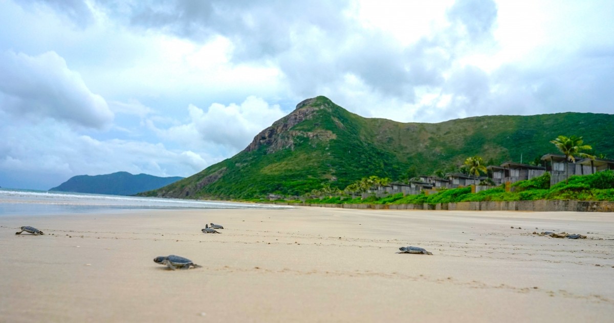 Hội An vượt Singapore trong top 15 thành phố tuyệt nhất châu Á ảnh 2 Hội An vượt Singapore trong top 15 thành phố tuyệt nhất châu Á ảnh 2