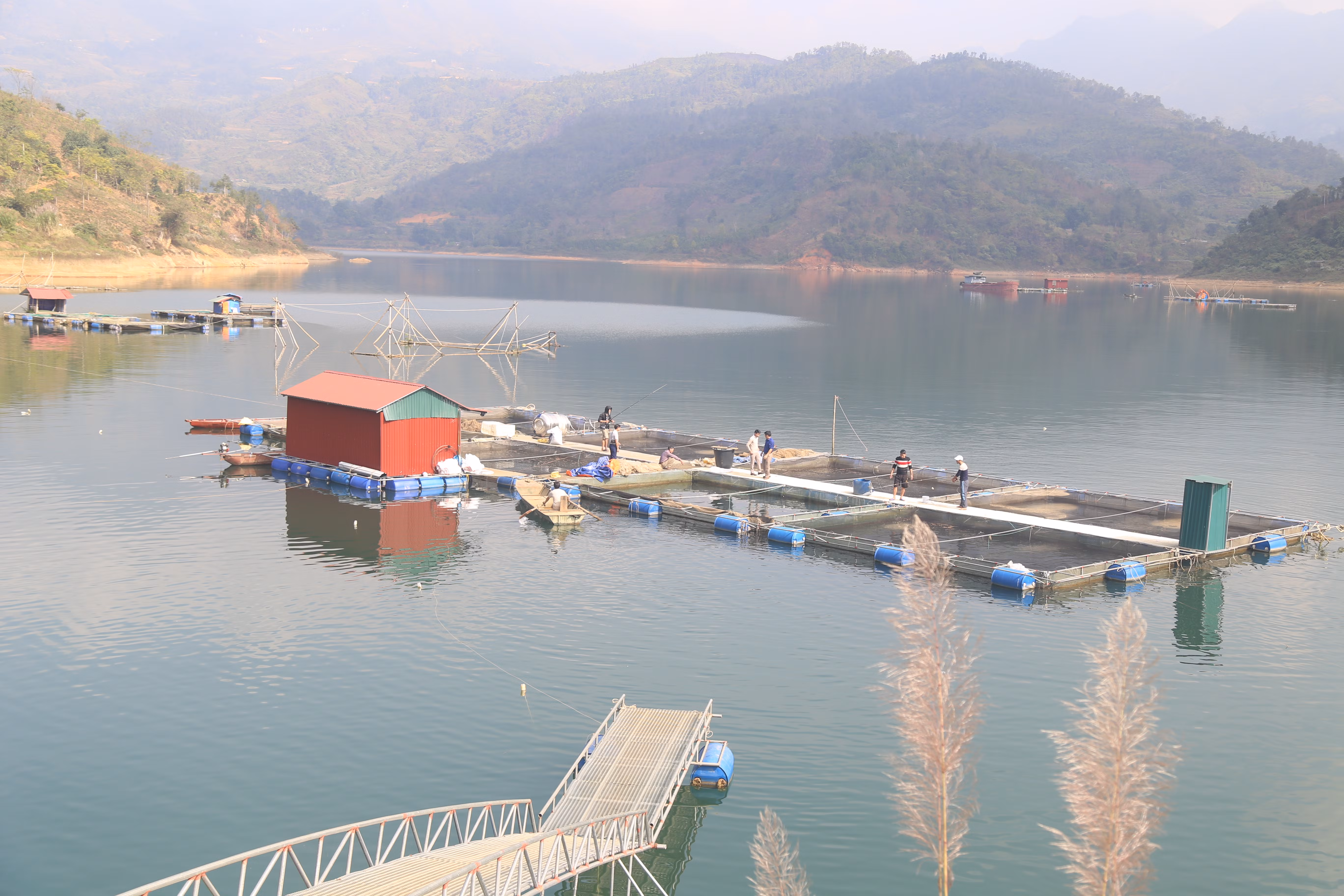 Nuôi cá lồng trên hồ Cốc Ly. Nuôi cá lồng trên hồ Cốc Ly.