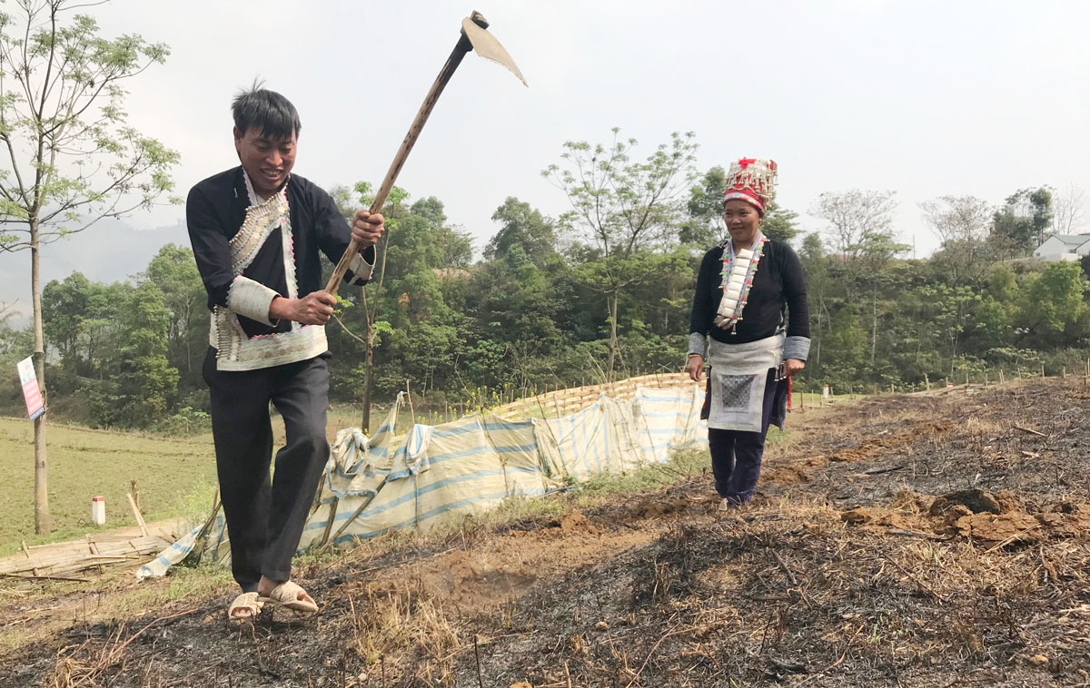 Trên các sườn núi cao, người dân hối hả vào vụ. Nông cụ sau thời gian dài "nghỉ ngơi" được rèn sắc để vào vụ mới. Phát quang nương rẫy, làm đất là khâu quan trọng cần đến sức khỏe của nam giới. Người Dao đỏ xã Dền Sáng (Bát Xát) gieo trồng vụ mới. Nông dân xã Cốc Ly (Bắc Hà) đổi công giúp nhau trồng ngô. Chủ yếu được trồng trên dốc núi đá, nên các công đoạn trồng ngô được làm thủ công. Những nơi đất bằng phẳng, gần mạch nước, ngô sẽ sinh trưởng, phát triển nhanh hơn. Kiểm tra hạt trước khi xuống giống... ... tất cả cho một mùa vụ bội thu. Trên các sườn núi cao, người dân hối hả vào vụ. Nông cụ sau thời gian dài "nghỉ ngơi" được rèn sắc để vào vụ mới. Phát quang nương rẫy, làm đất là khâu quan trọng cần đến sức khỏe của nam giới. Người Dao đỏ xã Dền Sáng (Bát Xát) gieo trồng vụ mới. Nông dân xã Cốc Ly (Bắc Hà) đổi công giúp nhau trồng ngô. Chủ yếu được trồng trên dốc núi đá, nên các công đoạn trồng ngô được làm thủ công. Những nơi đất bằng phẳng, gần mạch nước, ngô sẽ sinh trưởng, phát triển nhanh hơn. Kiểm tra hạt trước khi xuống giống... ... tất cả cho một mùa vụ bội thu.