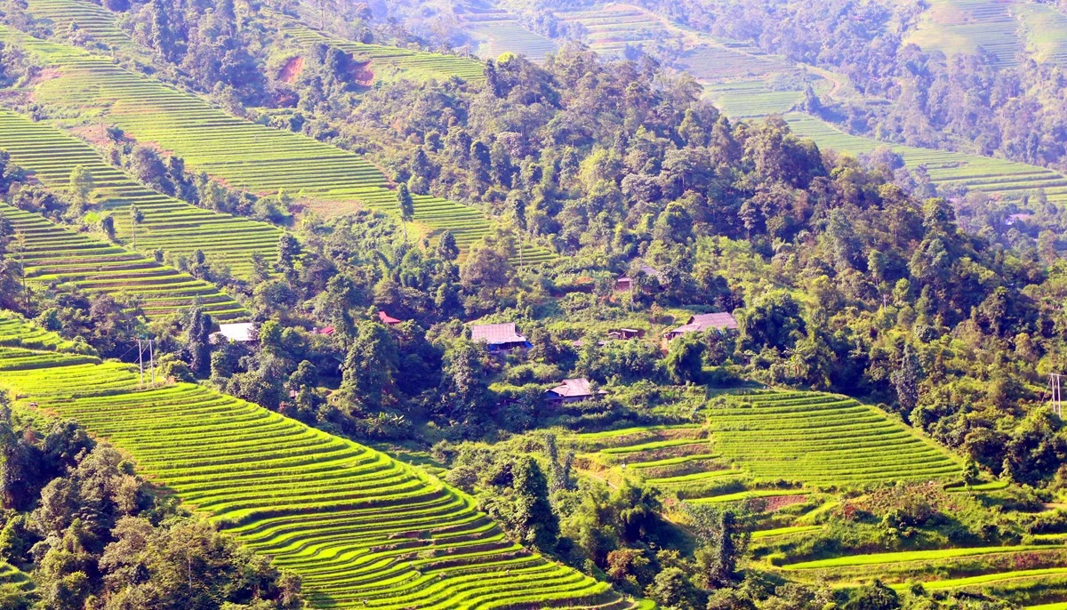 Toàn cảnh Láo Vàng.