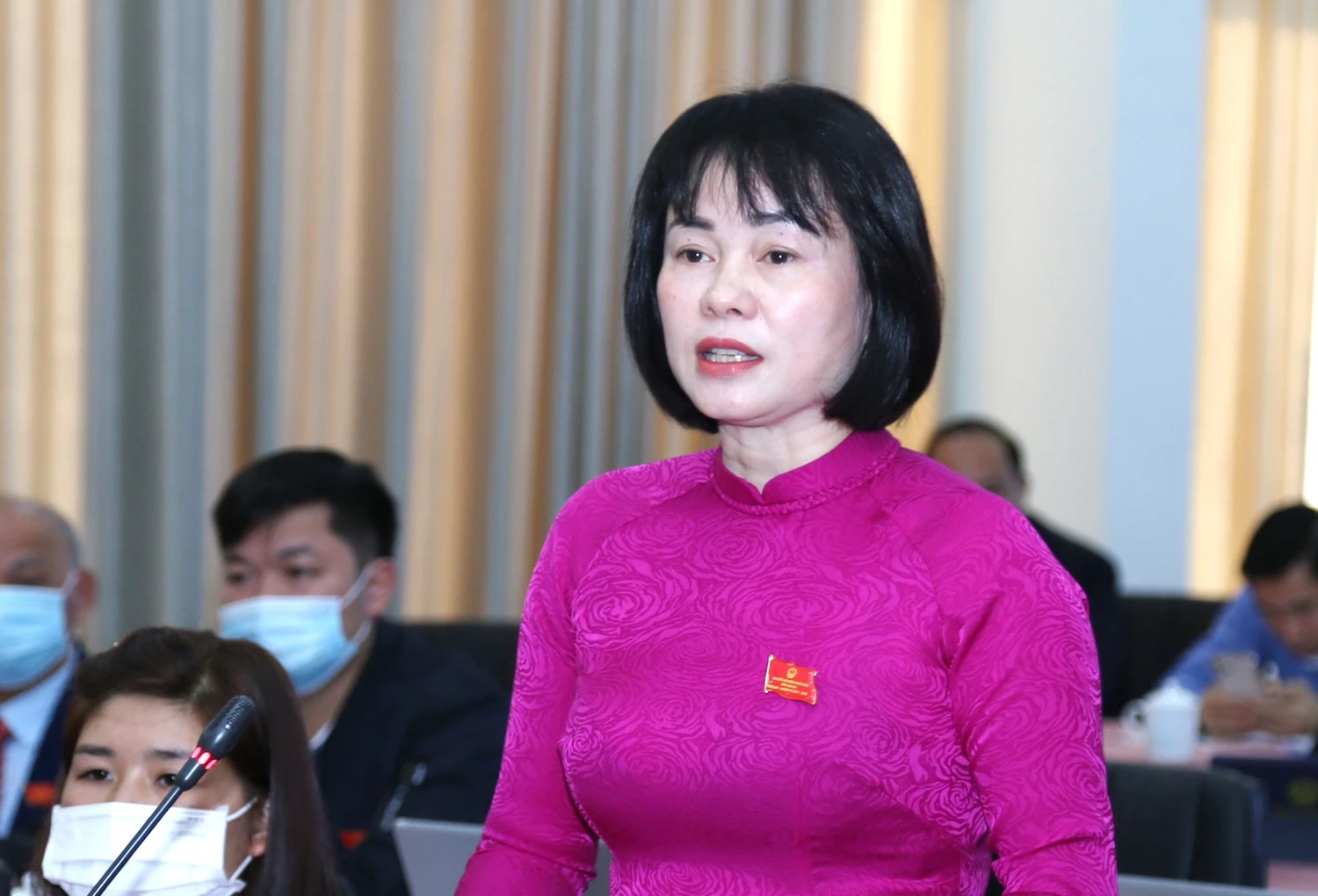 Đại biểu Trần Thị Hằng.